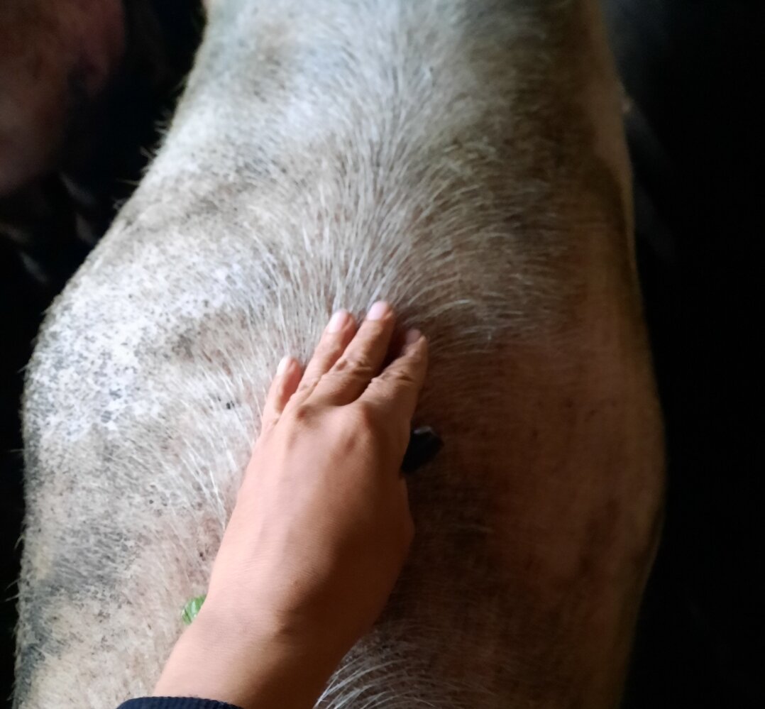 Наша хрюшка в 6,5 мес