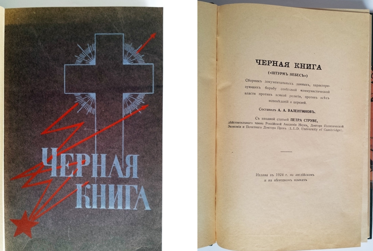 «Голубые береты» спасают сексуальных рабынь