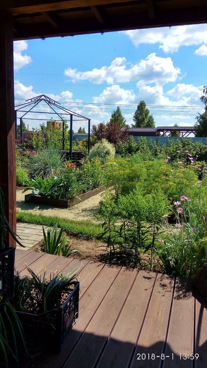 В статье все авторские фото.