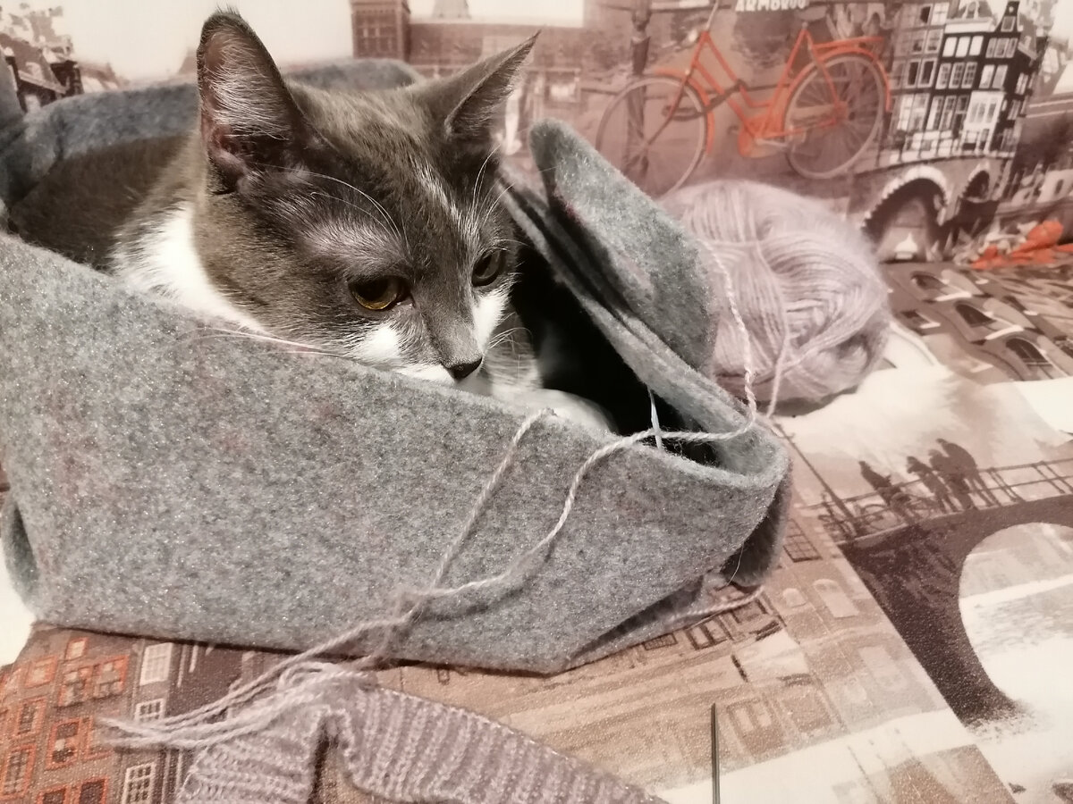 Я главный сладкий клубочек в этой корзинке!
