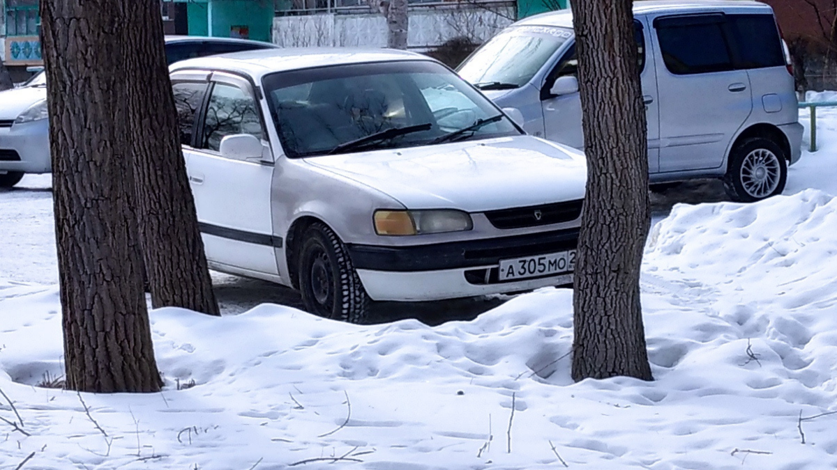 Хороший семейный автомобиль, можно рассмотреть как первую машину. Если брать 100 или 110 кузова.