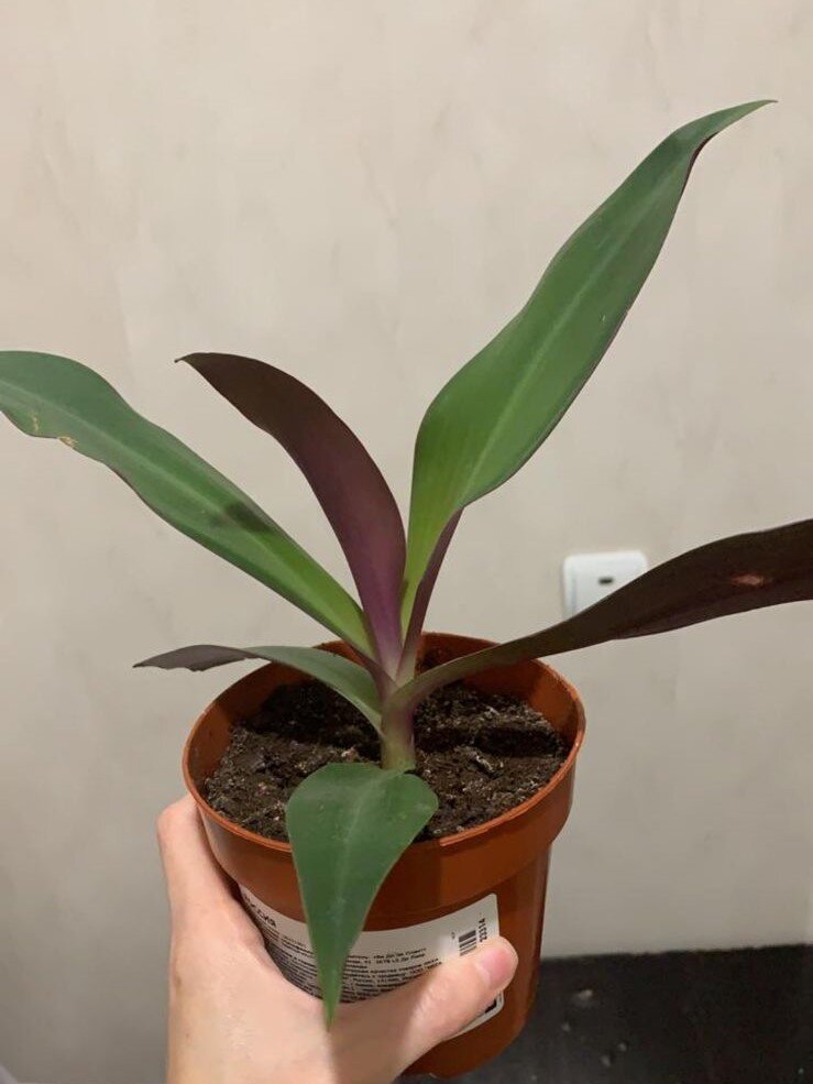 То, каким он попал ко мне в июне 2021г. 