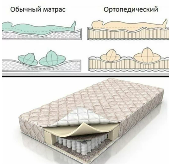 Состав анатомического матраса