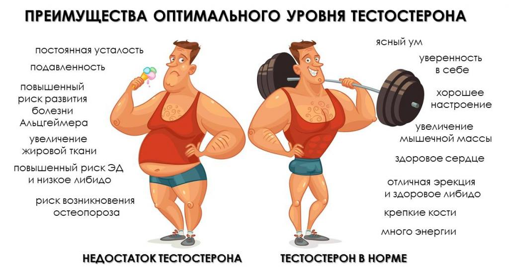 Нужен ли Астартес тестостерон?