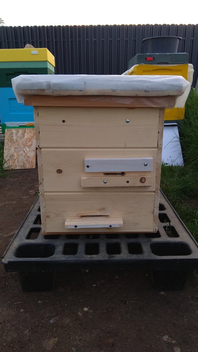 Шестирамочный улей собственного производства.