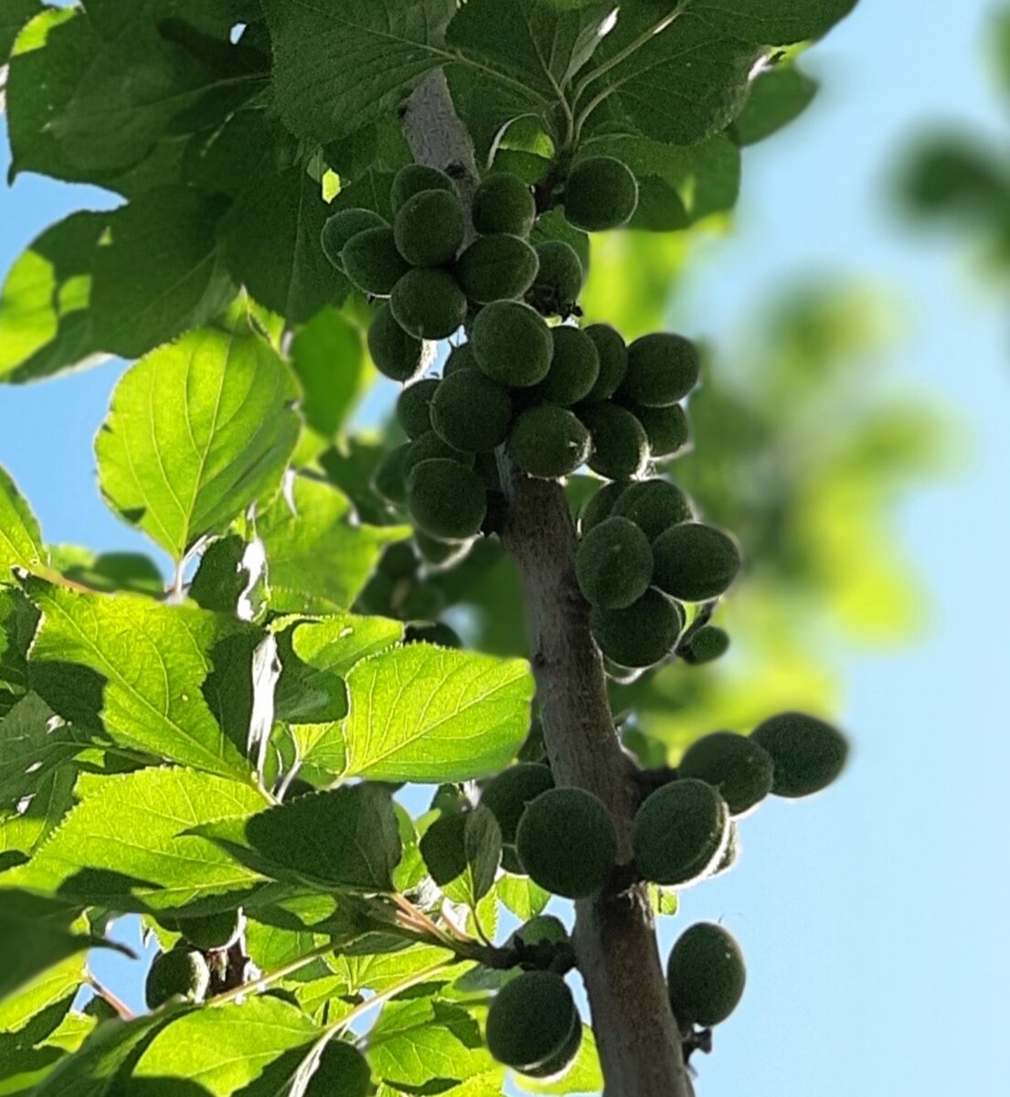 Утешьтесь – смерть не навсегда! | Про Жизнь и Счастье | Дзен