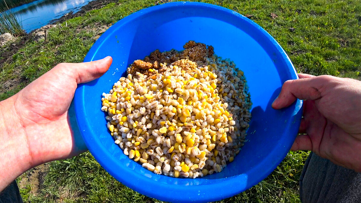 Какую прикормку любит карп в августе. Какую прикормку любит карп в августе. Ароматизаторы прикормки на карпа. Прикормка для белого амура. Прикормка для карася.