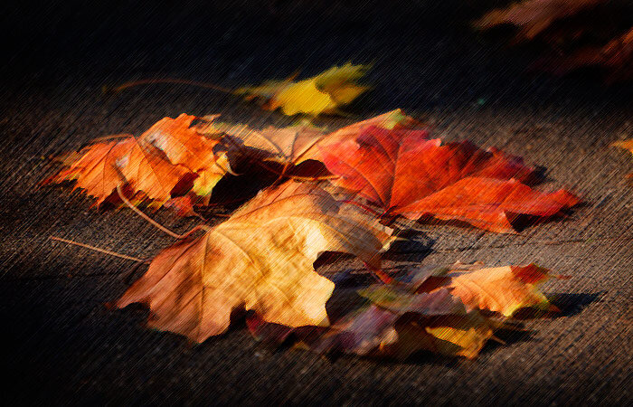 Сухие листья