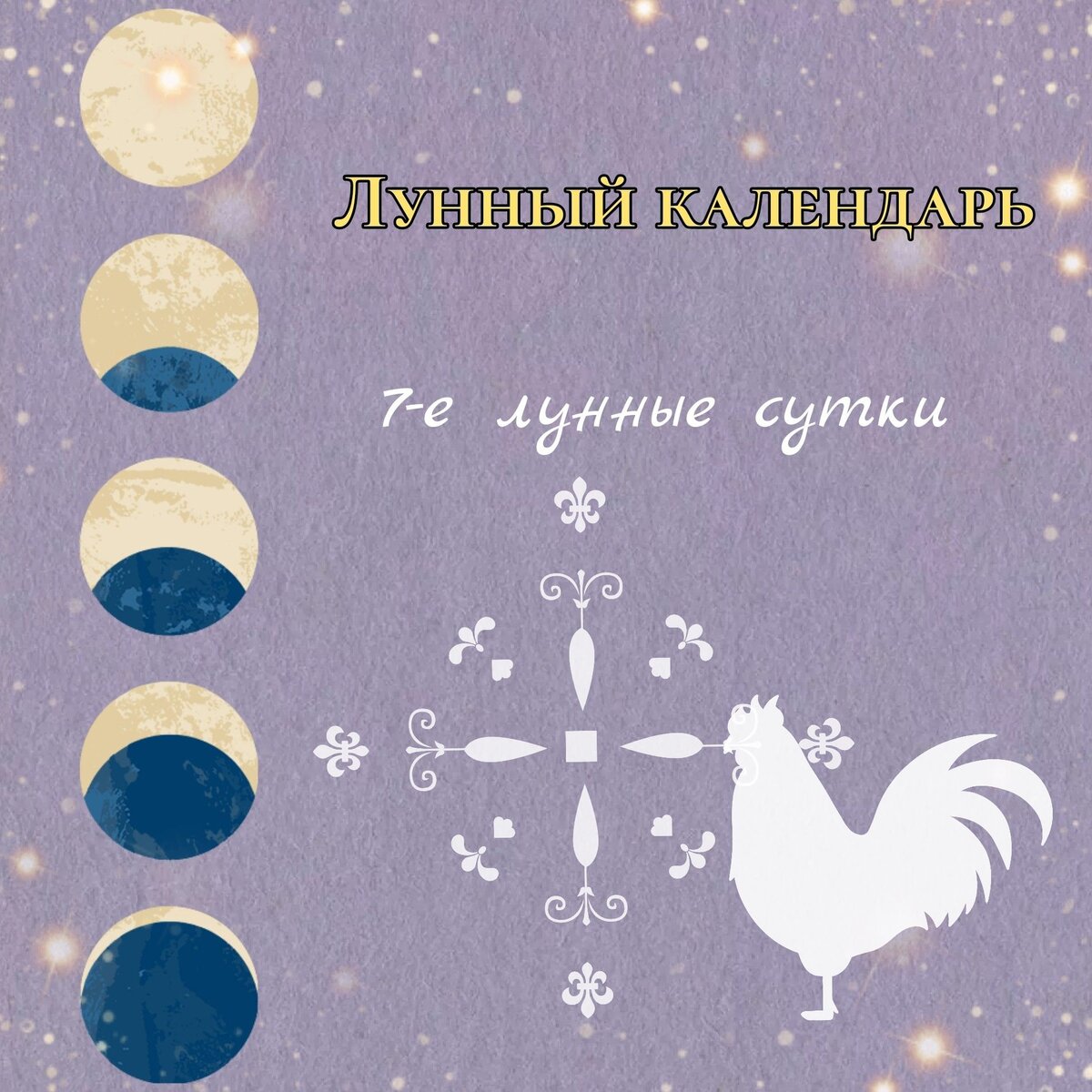 28 января 2024 лунный день