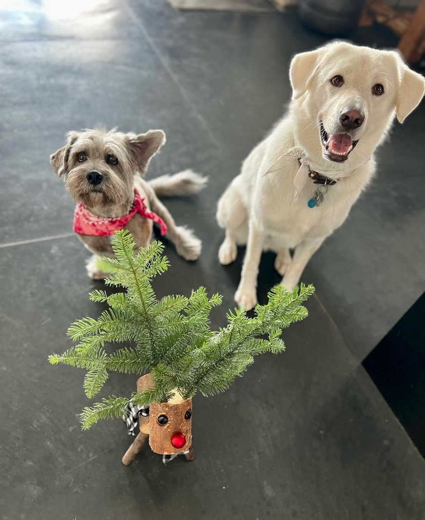     Фото: @jenniferaniston