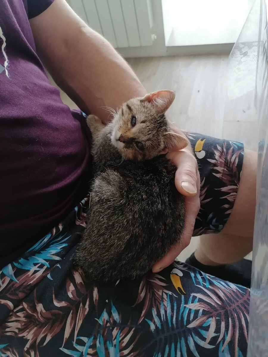 Ёсик в своём собственном доме