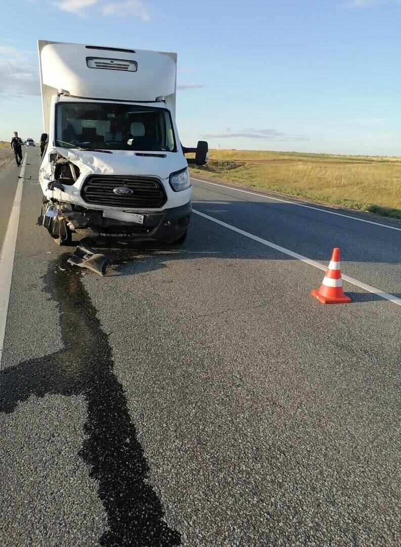  📷    В ДТП под Соль-Илецком пострадали двое детей Кристина Просвиркина