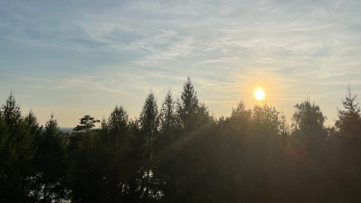     Возвращаясь из отпусков, мы обычно делимся подробностями отдыха, хвастаемся новыми впечатлениями. Корреспондент «Нашего города» Алиса Вернер рассказала, почему в 25 лет променяла пляжи Анталии на процедуры и сибирский лес и почему отдых среди пенсионеров так мощно заряжает энергией.