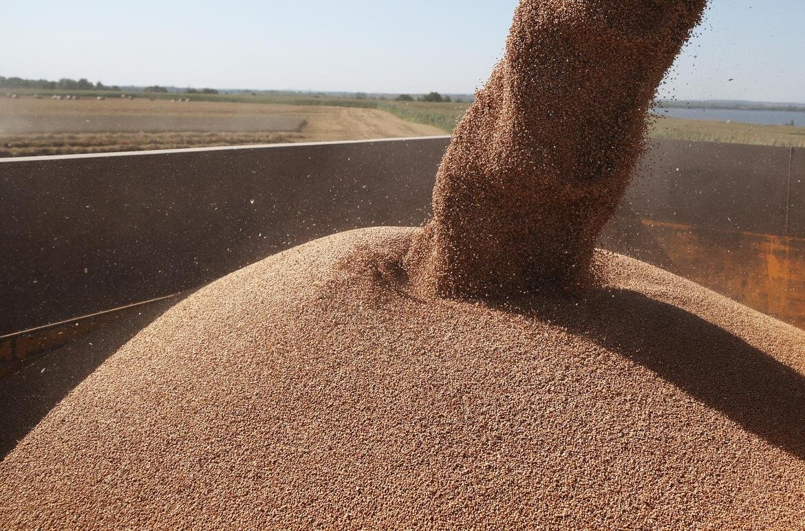 Глава внешнеполитического ведомства России Сергей Лавров отметил, что поставлять продовольствие планируется шести африканским странам