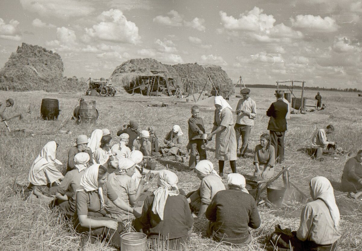 Самарская область: колхоз "Путь Ленина" (село Васильевка) в 1946-1949 годах