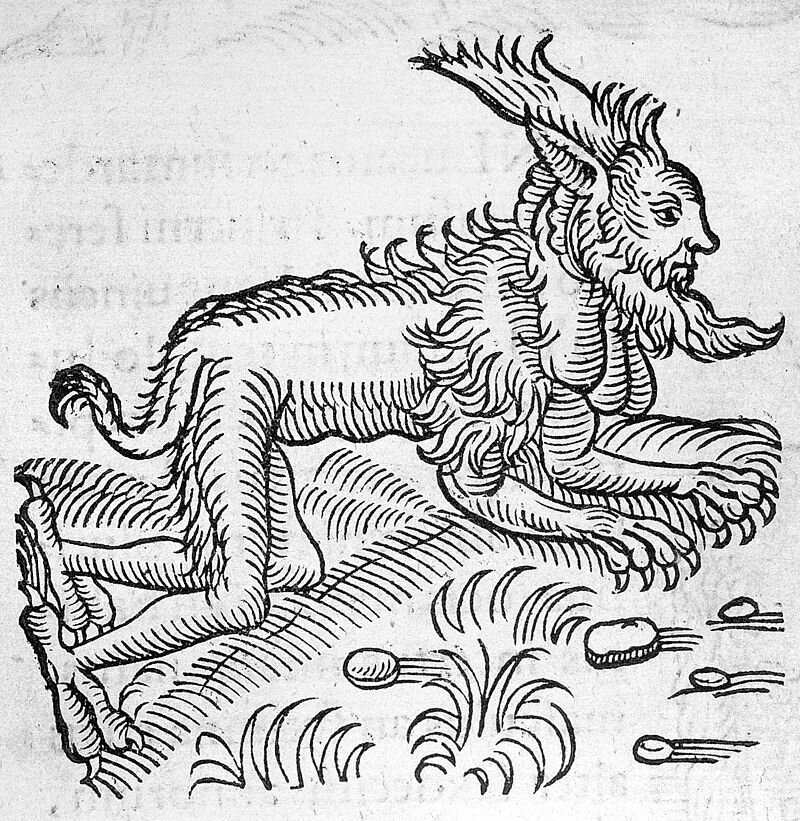 оборотень средневековья. гравюра. картинка из сети.