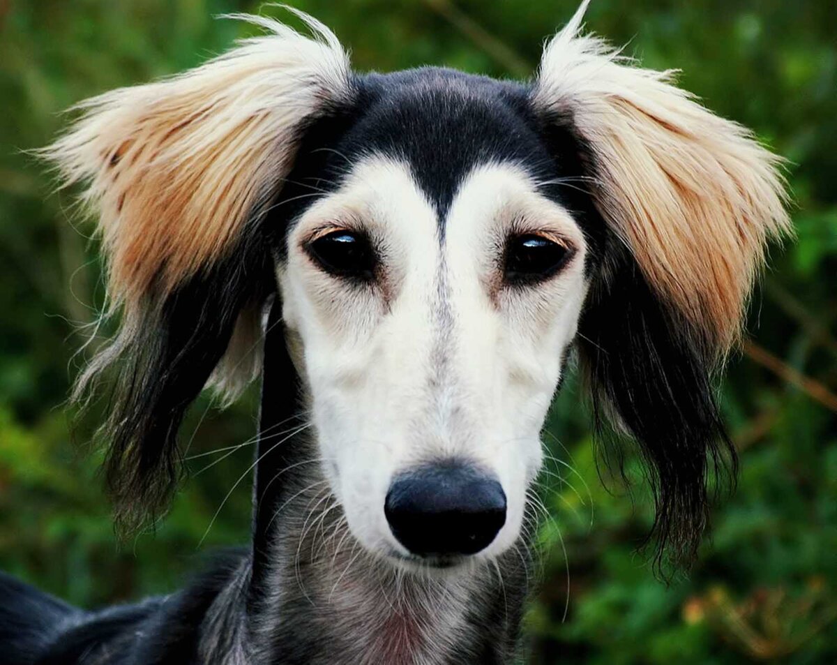 источник фото: https://mebellka.ru/wp-content/uploads/6/a/c/6ac7e97b6441fadd975faecc526f76aa.jpeg