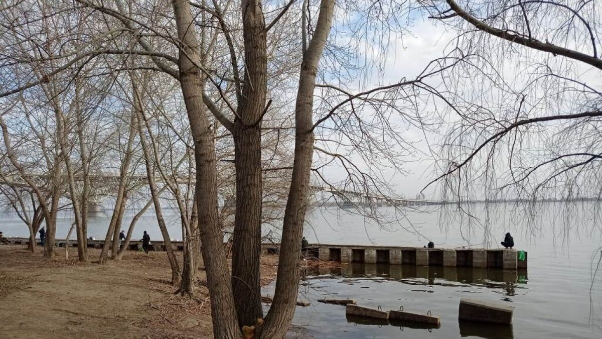    Масштабный проект по благоустройству в Энгельсе: власти назвали 2025 годНовости Саратова и области – Сетевое издание «Репортер64»