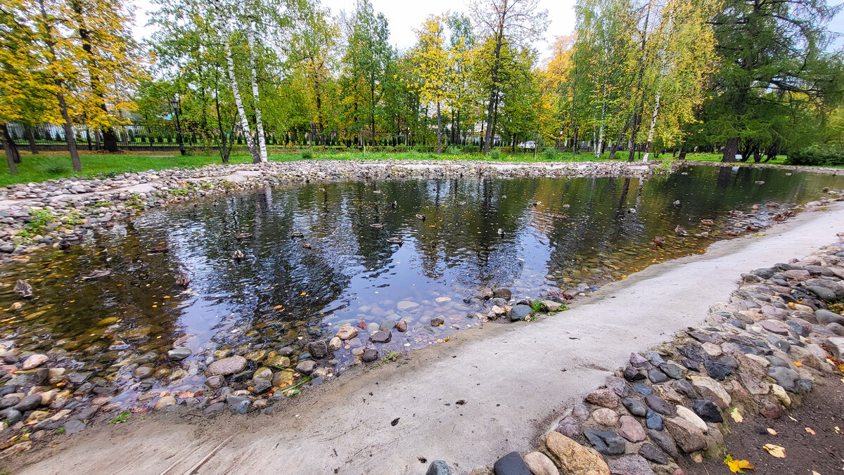 Соляной сад череповец фото