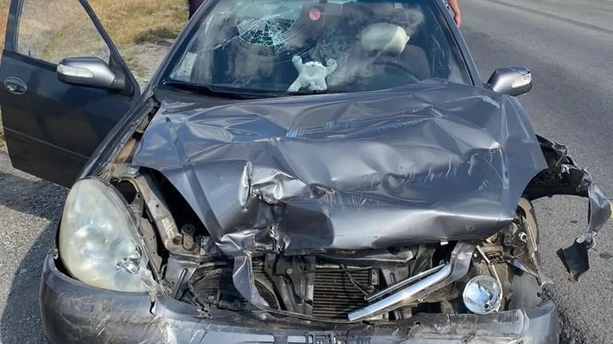     Пассажирке автомобиля «Лифан» потребовалась медицинская помощь после столкновения машины с грузовиком на трассе Волгоград — Каменск-Шахтинский в Суровикинском районе, сообщает ГУ МВД по Волгоградской области.