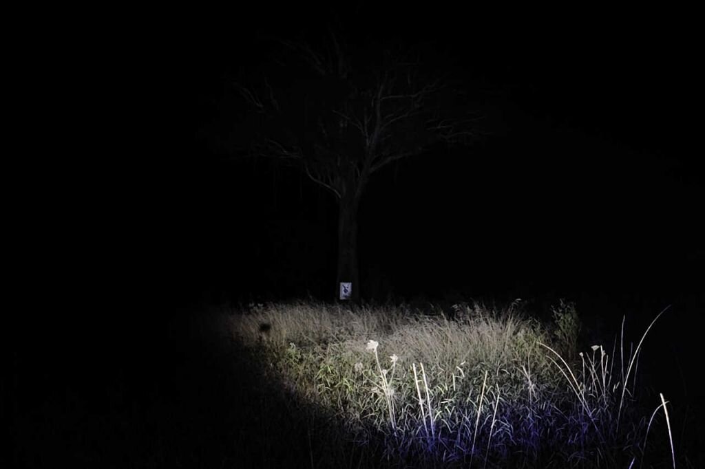 Сказка ложь, да в ней намек!