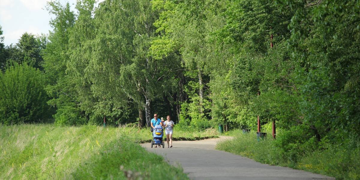 Фото: Андрей Абрамов