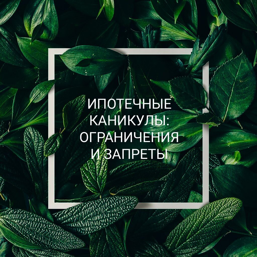 Какие ограничения есть в законе об ипотечных каникулах?