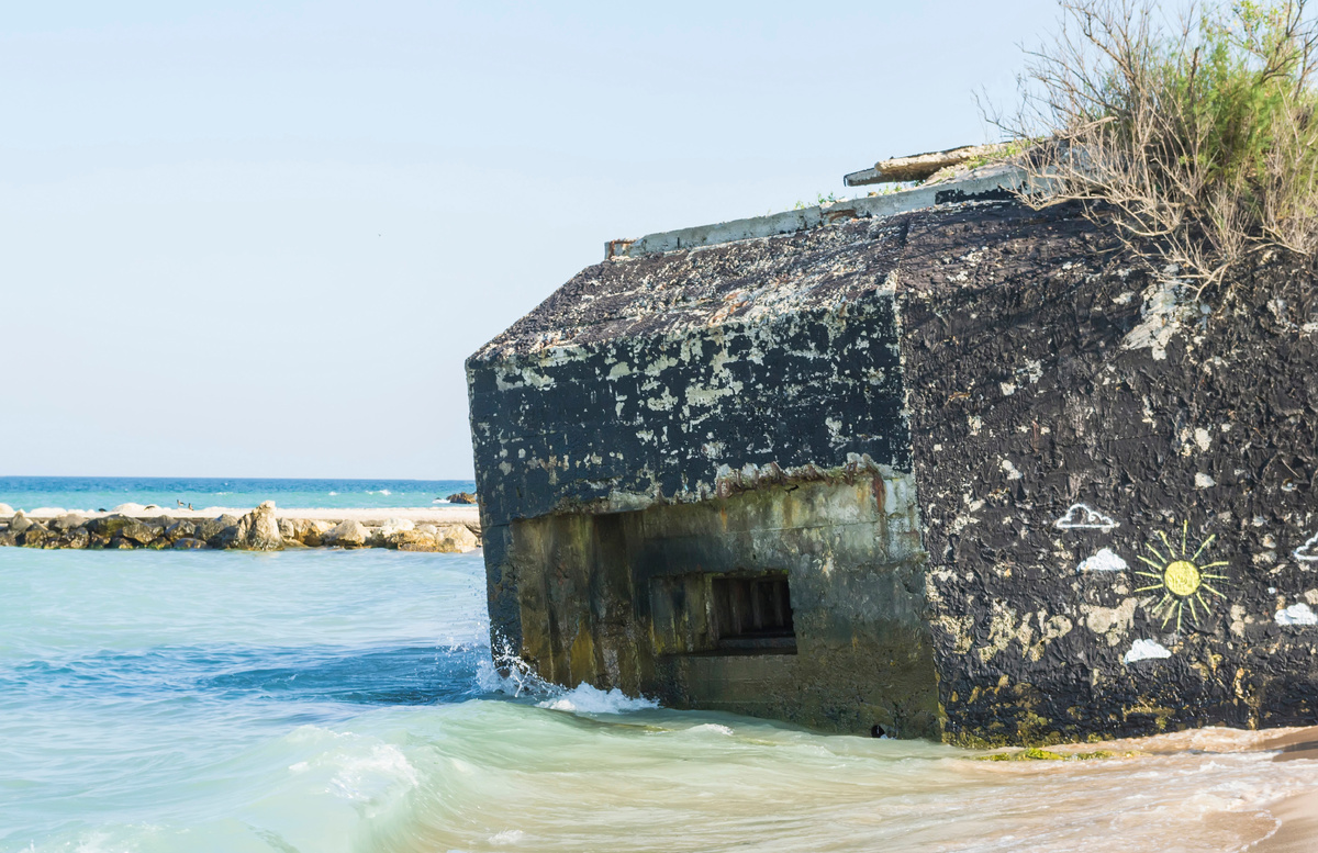 Источник фото: canva.com (приобретенная лицензия)