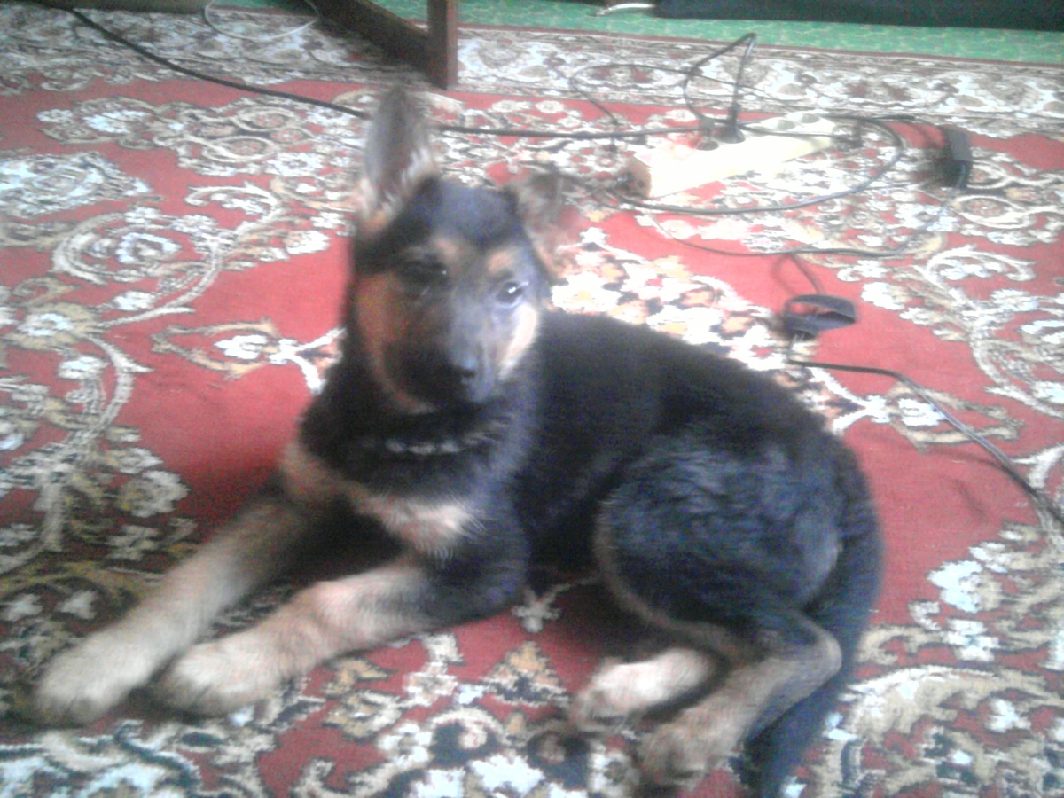 моя Даночка когда ей было 2 месяца