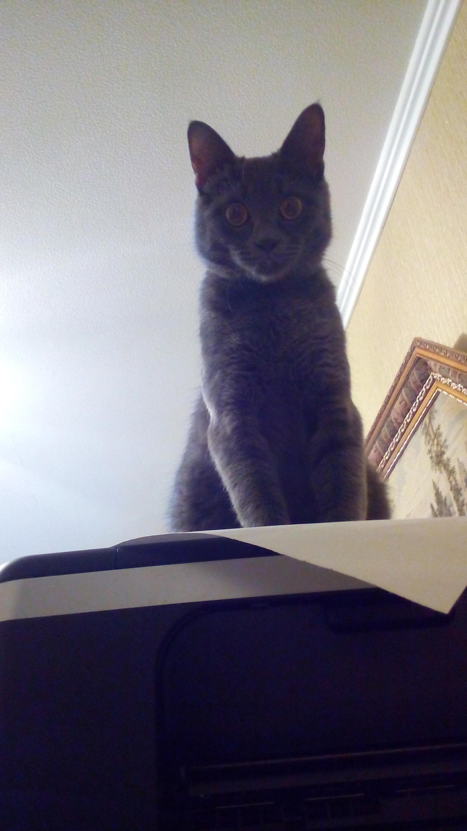 Не удивляйтесь, для него это обычный взгляд.