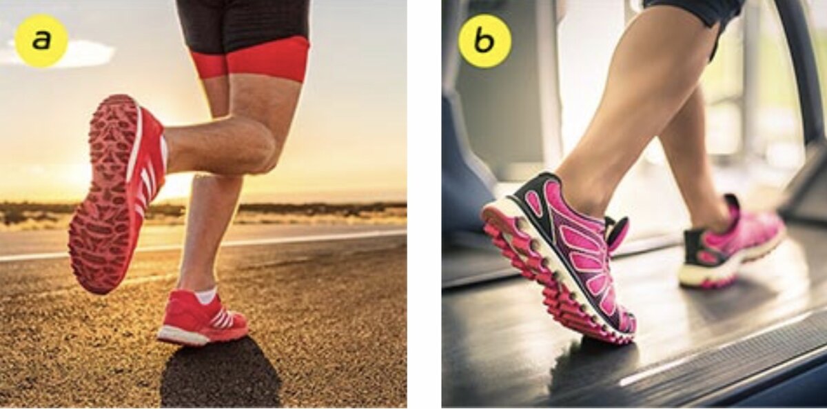 фото взято из открытых источников 