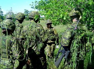 фото взято из свободного источника сети Интернет 