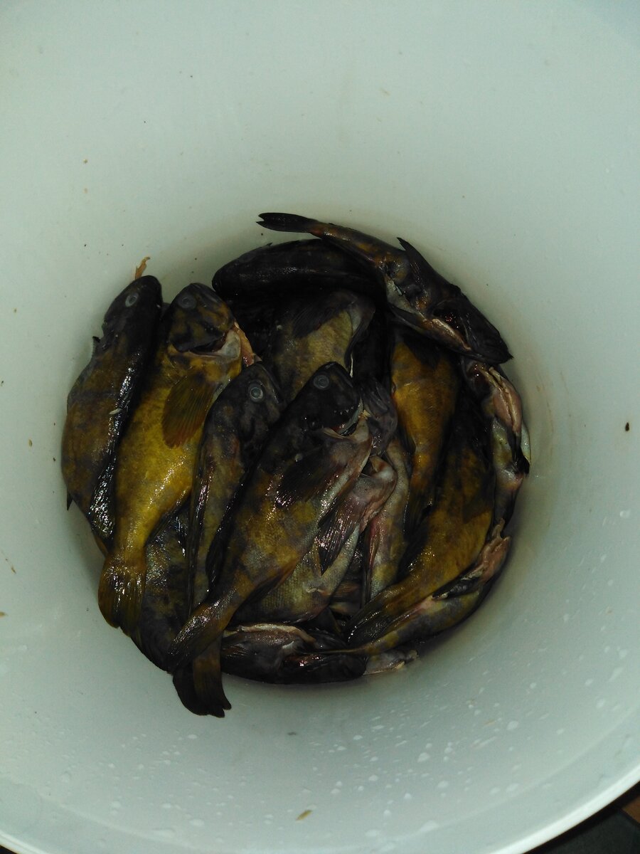 Тара для ерша