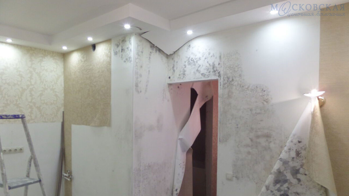 Осмотр квартиры после залива