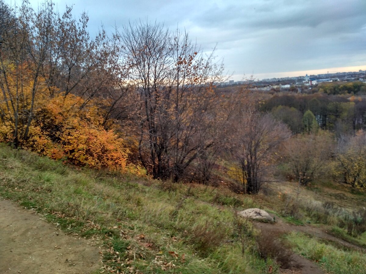 Яркие краски осени добавляют пикантность прогулке
