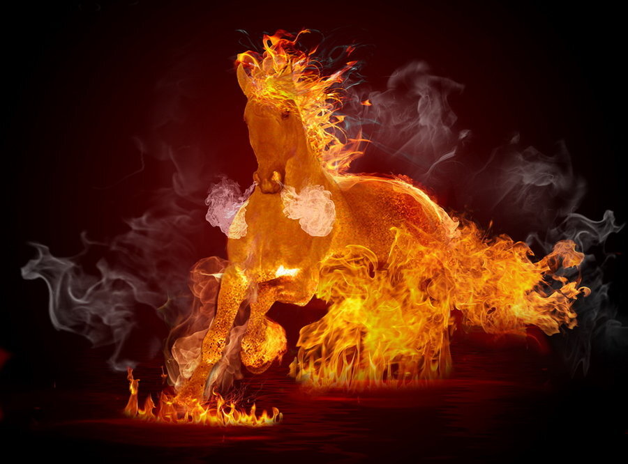 Фото с сайта www.stihi.ru