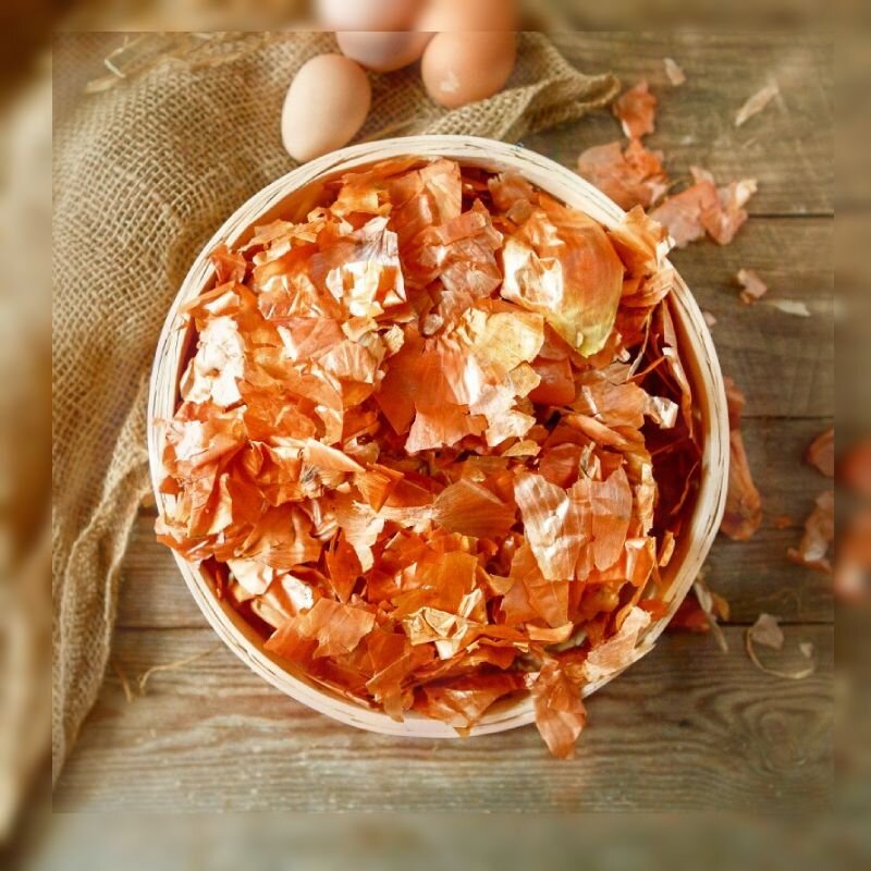 Куда применить луковую шелуху?