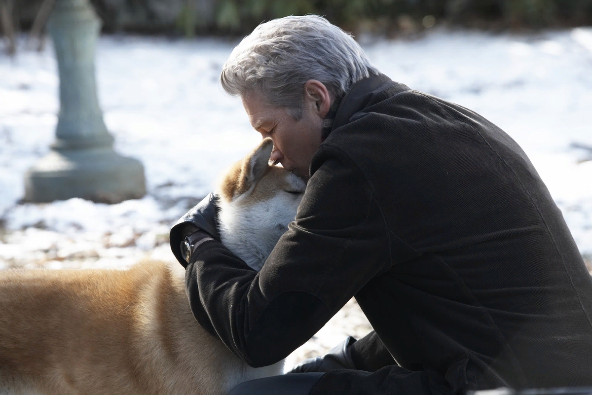 Кадр из фильма "Хатико: Самый верный друг". Яндекс.Картинки