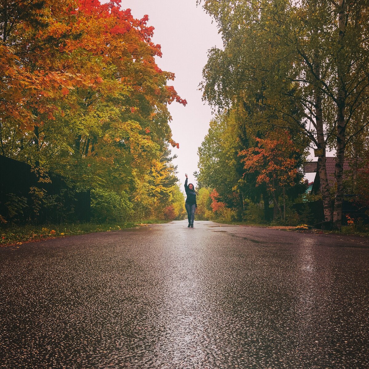 Осень самое красивое время года