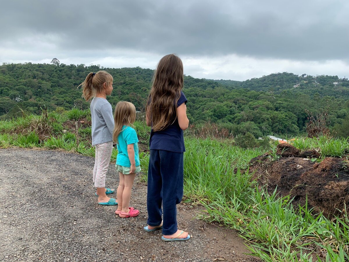 Записки из бразильской глуши - потеряла детей в лесу