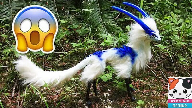 Очередная подборка смешных видео с животными, которая поднимет Вам настроение!!! #юмор #животные #кошки #подборки #животное