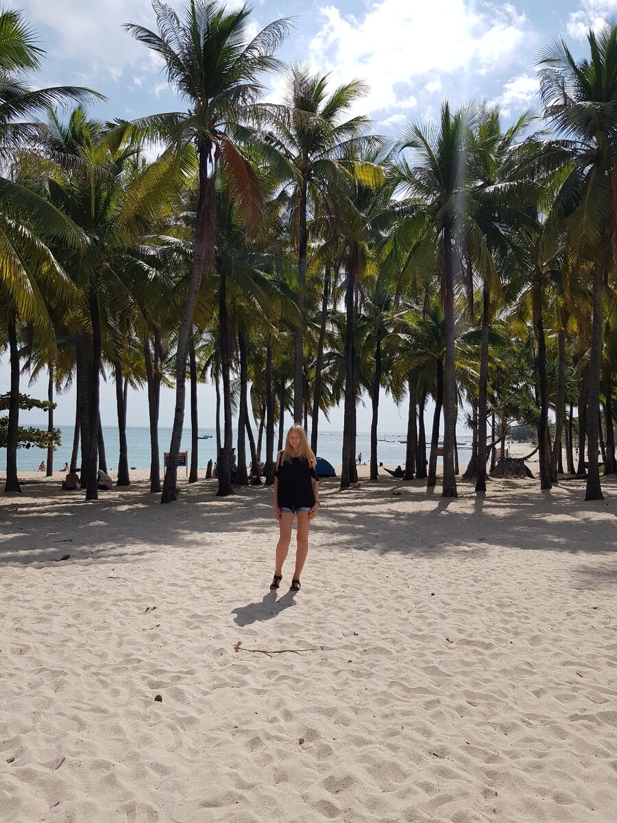 Вот такие кокосовые пальмы в Китае