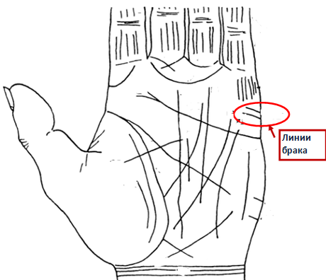 Линия брака линия вдовства. Линия брака на руке. Датировка по линии брака. Линия брака на ладони. Линия вдовы