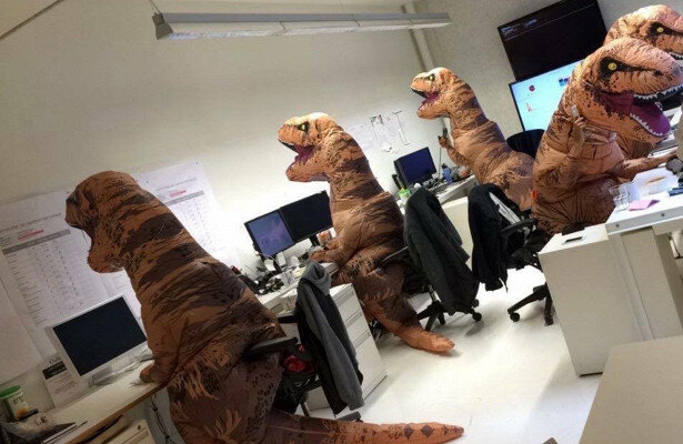 Фото из открытого интернет-источника