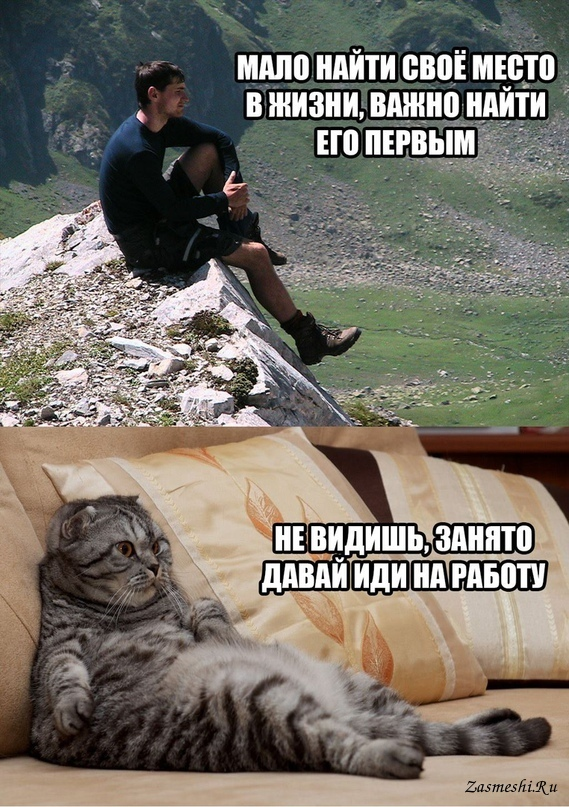 Занят жизнью. Найти свое место. Главное найти своё место в жизни. Найдите свое место. Найди своё место в жизни
