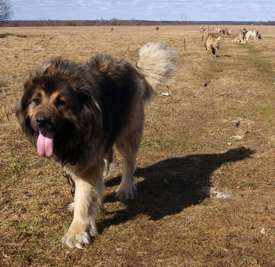 Авторская фотография