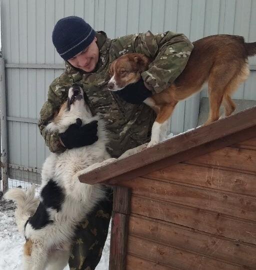 Доброго мы подобрали уже взрослым. Мы с моей супругой думаем, что его выбросили прежние хозяева. Очень благородный пёс. Не понимаю, зачем они так сделали.....