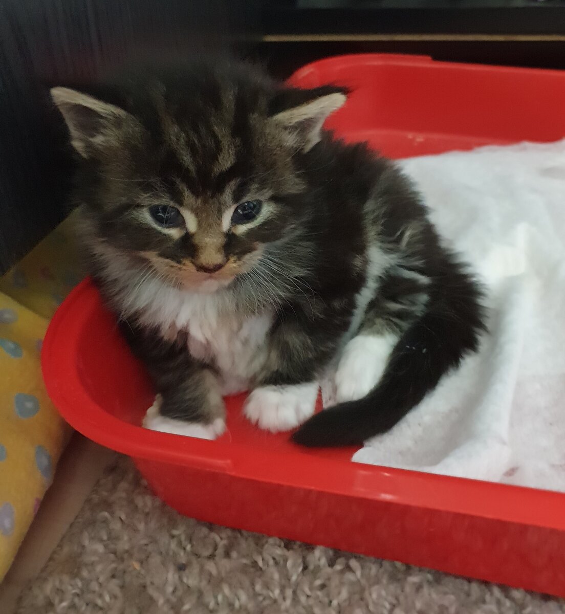 Вообще не понимаю, что я здесь делаю...