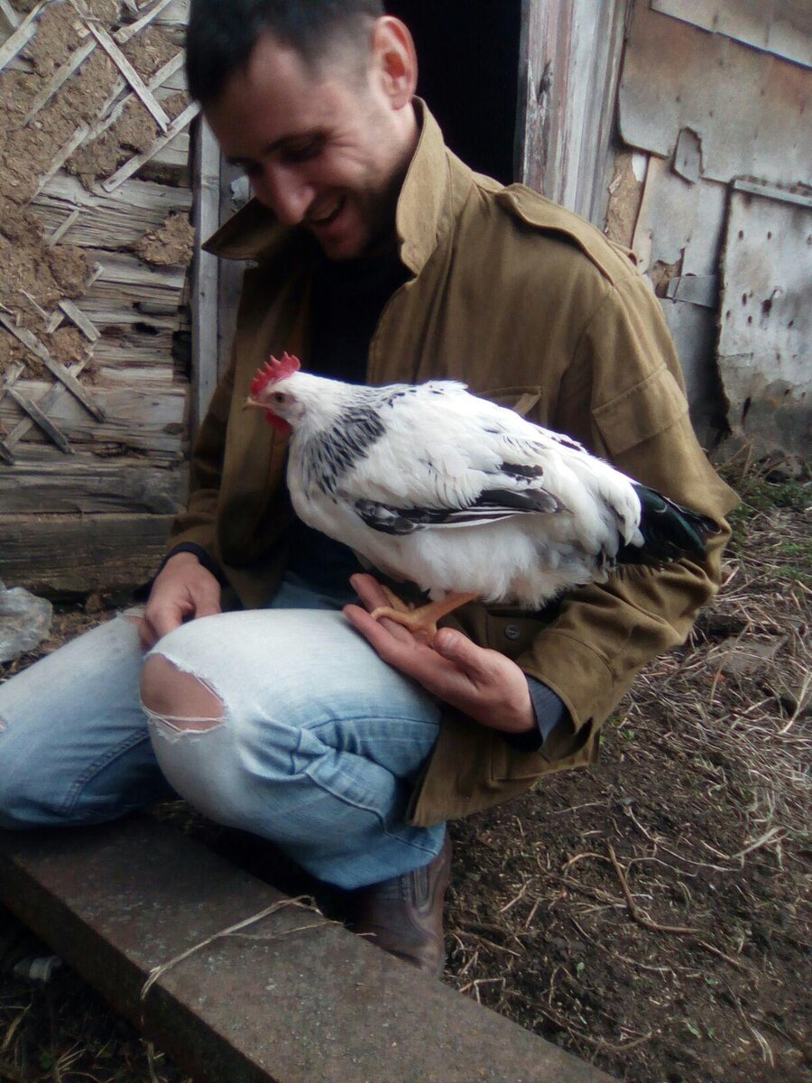 Здесь Пете, около 4 месяцев. Только привезли домой) 