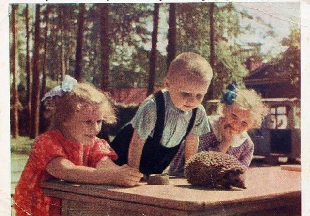 Фото взято из открытых источников